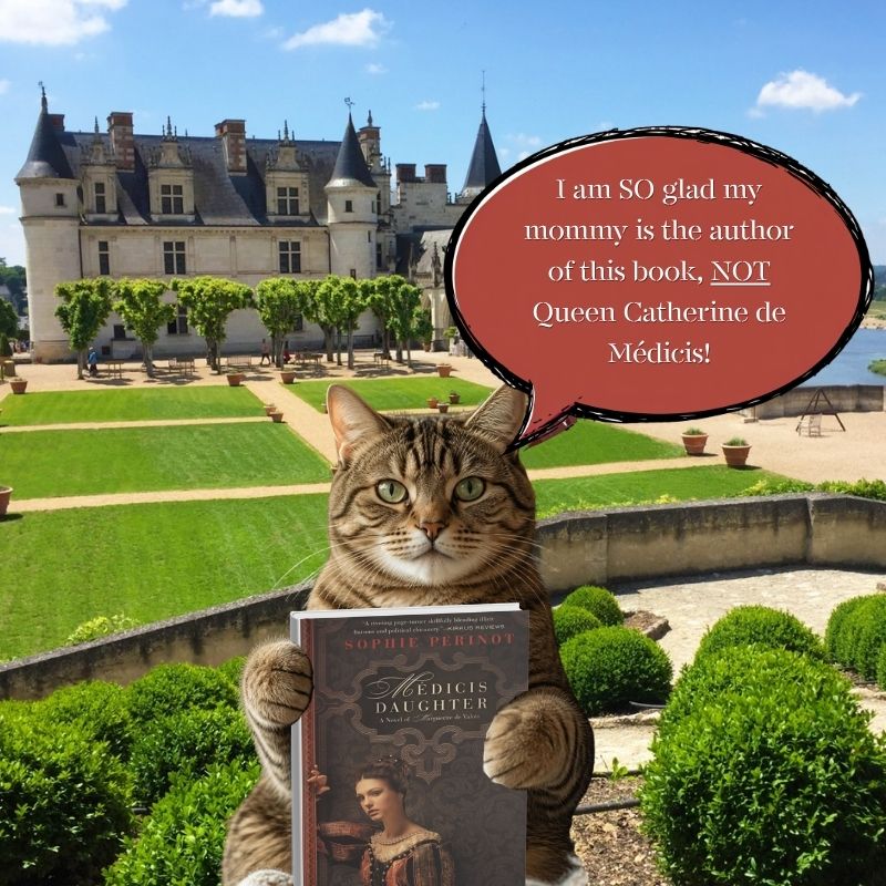Good Little Literate Kitty!